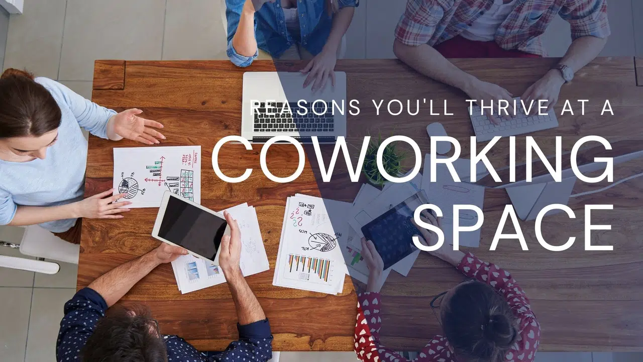 thrive in coworking space