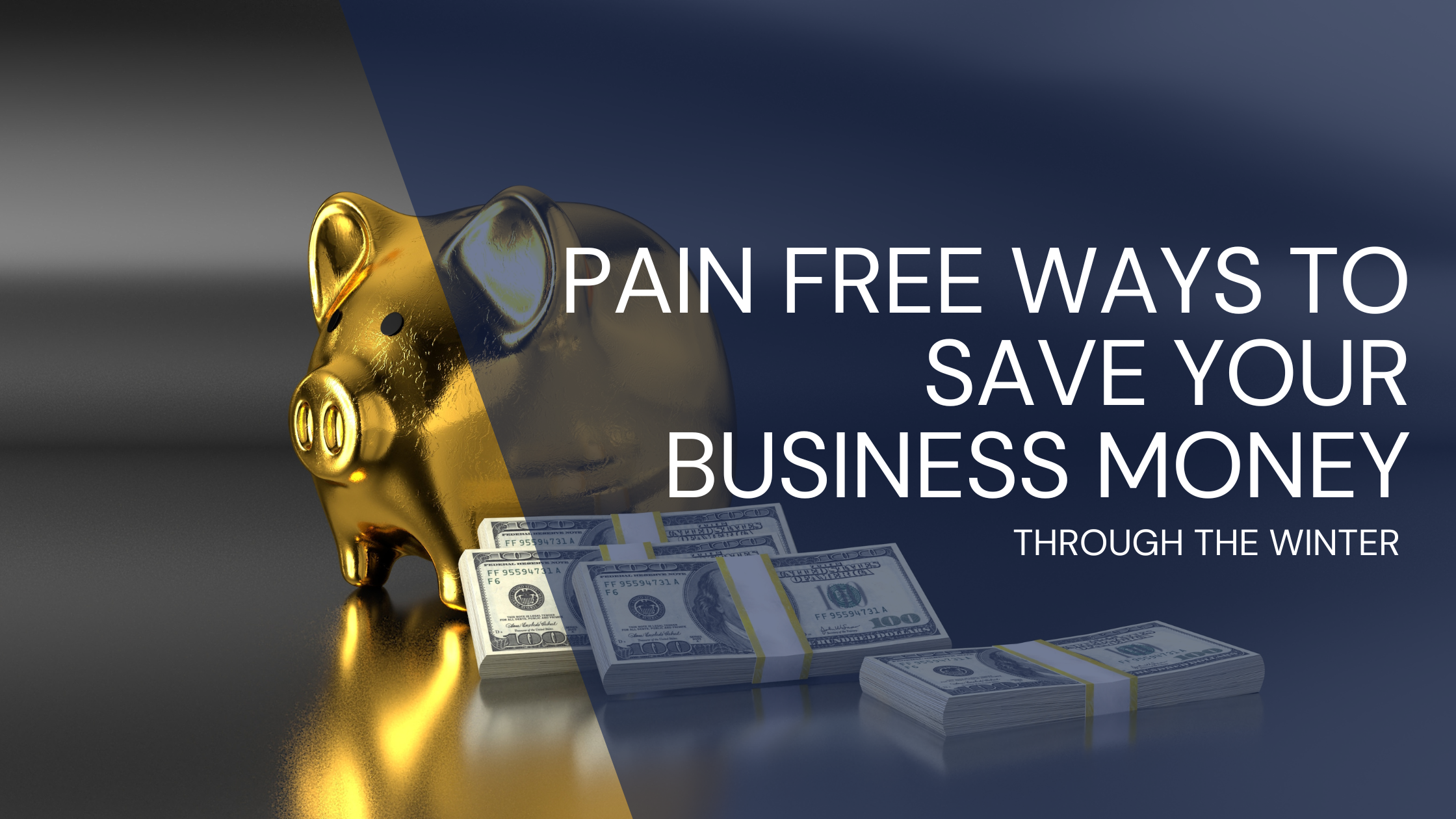 Pain Free Blog Banner